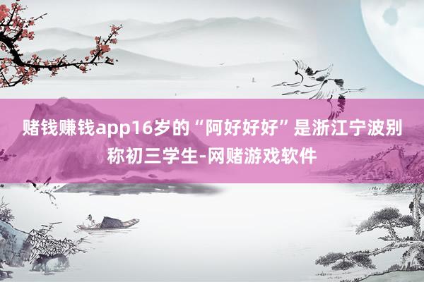 赌钱赚钱app16岁的“阿好好好”是浙江宁波别称初三学生-网赌游戏软件