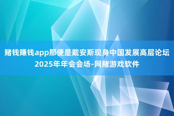 赌钱赚钱app那便是戴安斯现身中国发展高层论坛2025年年会会场-网赌游戏软件