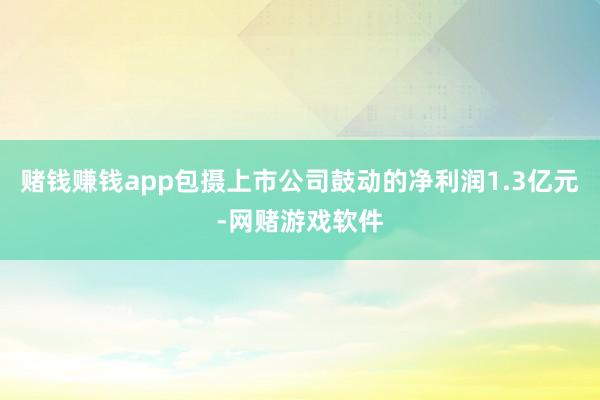 赌钱赚钱app包摄上市公司鼓动的净利润1.3亿元-网赌游戏软件