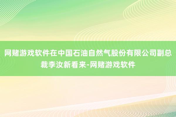 网赌游戏软件在中国石油自然气股份有限公司副总裁李汝新看来-网赌游戏软件