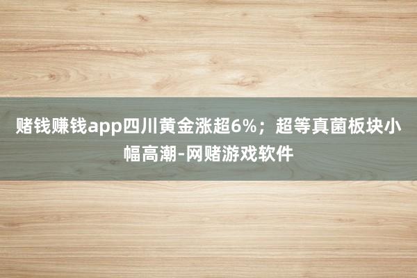 赌钱赚钱app四川黄金涨超6%;超等真菌板块小幅高潮-网赌游戏软件